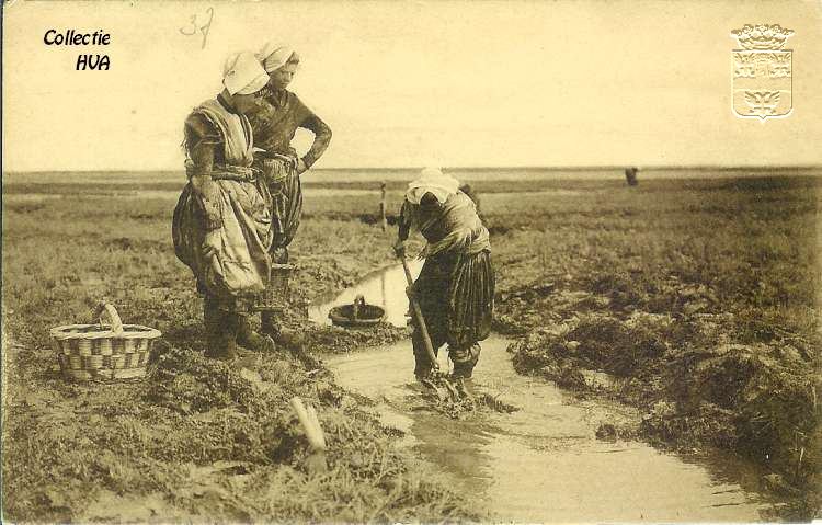 Vrouwen op de schorren